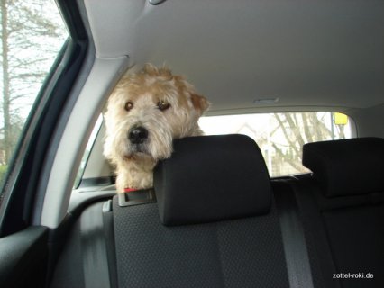 So lieb bin ich im Auto!                               