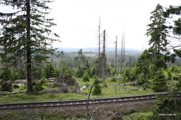 Auf der Fahrt zum Brocken