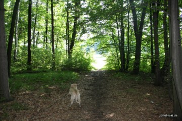 Licht am Ende des Tunnels