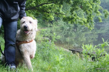 Mein "Jagdteich"