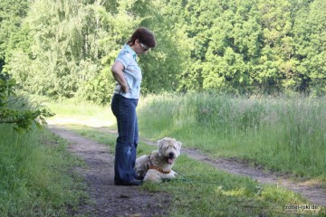 Pause Nr. 1