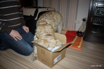 Away with the wrapping paper!