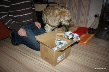 Hurry up Roki !