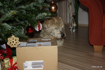 Our christmas package