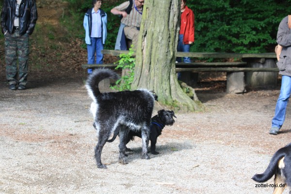 Der unschuldige Blick von Freddy