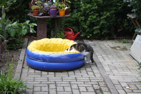 Kannst ruhig auch mal Baden.
