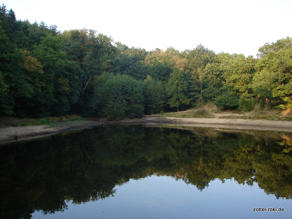 Der Spitzgrundteich, ganz schön leer...