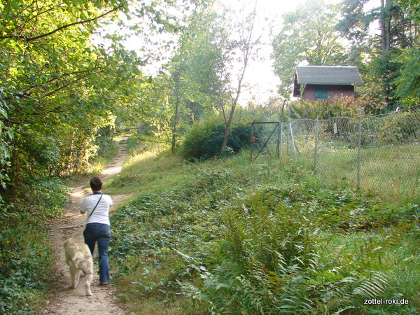 Fast oben, rechts der Botanische Garten der TU Dresden