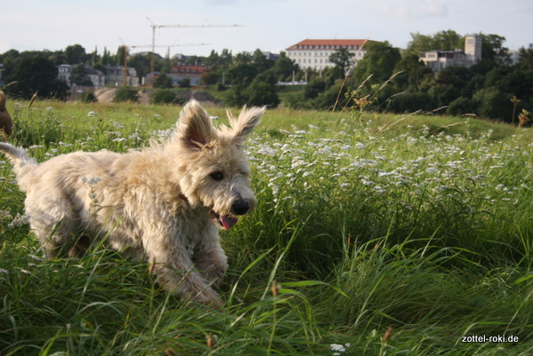 Ready for Take-Off