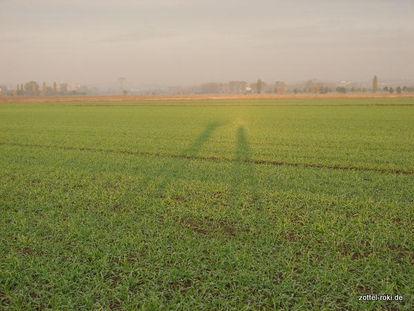 50m Schatten - Guten Morgen Sonne !