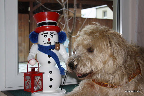 der Schneemann-roki