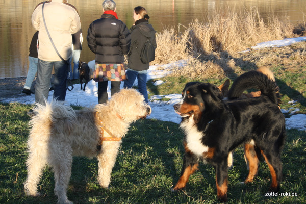 Und Du bist der Bruder vom Schäferhund, hmmm ??