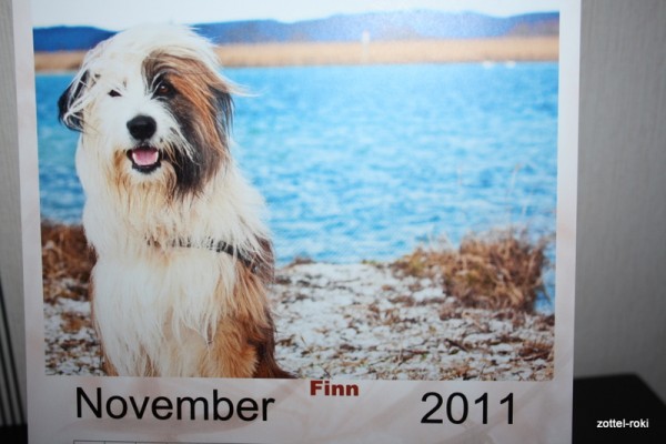 Finn